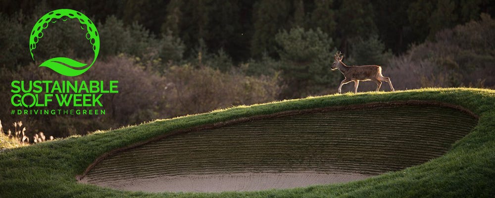 Sustainable Golf Week